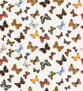 Kelebek seamless modeli.