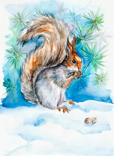 De eekhoorn gnaws notelets. New year's en kerst motief. sneeuw winter. — Stockfoto