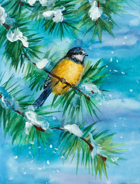 çam ağacı dalı baştankara.