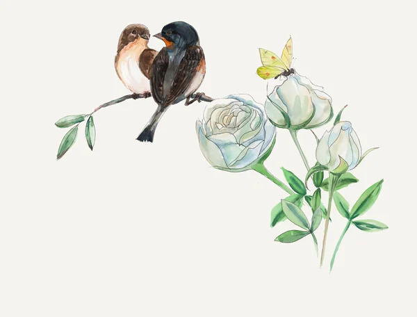 Zwei Vögel auf weißen Rosen. — Stockfoto