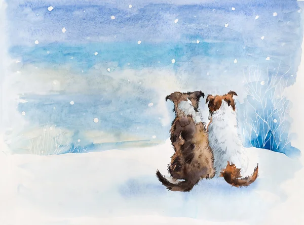 İki köpek. Toplantı köpekler. Rus kış.