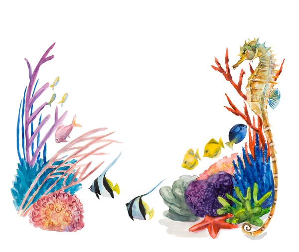 Sualtı sakinleri çerçevesinden. Deniz hayat.