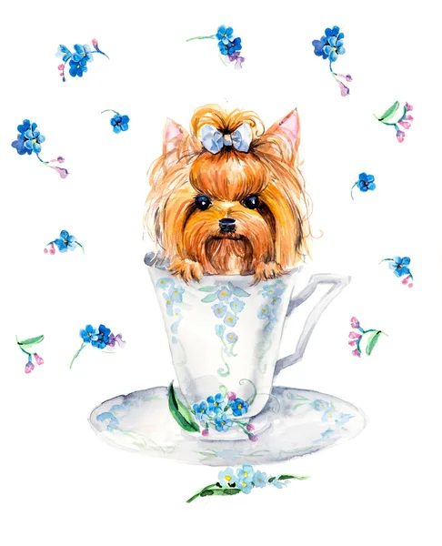 Cane nella tazza . — Foto Stock