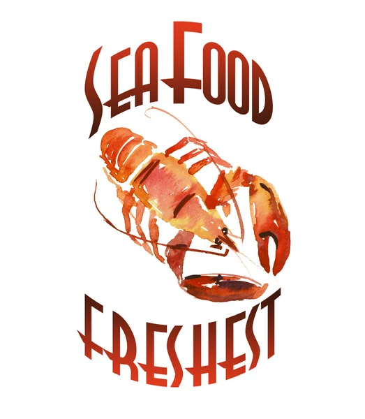 Kerevit. Istakoz. Suluboya elle çizilmiş illüstrasyon