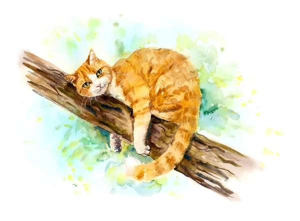 Gatto rosso sull'albero. — Foto Stock