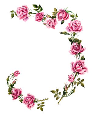 Gül çerçevesinden. Gül brunch. Gül desen.