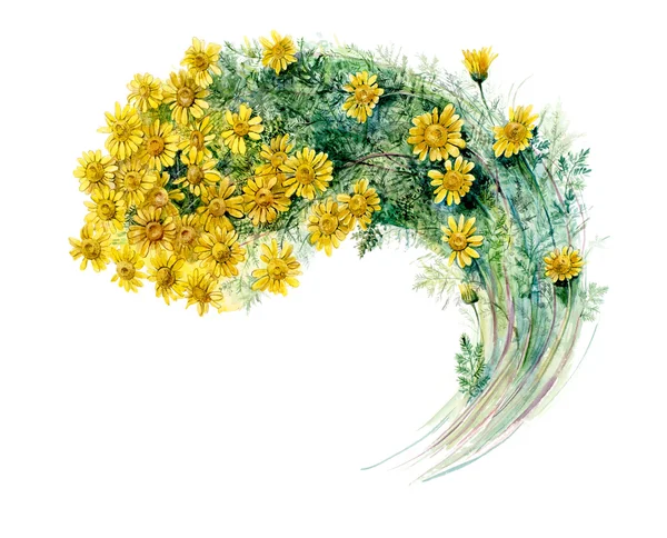 Frame from chamomiles. Bouquet of chamomiles. — Stock Image Frame from chamomiles. Bouquet of chamomiles. Royalty Free Stock Images