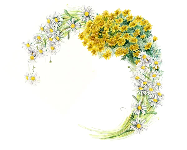 Frame from chamomiles. Bouquet of chamomiles. — Stock Image Frame from chamomiles. Bouquet of chamomiles. Royalty Free Stock Photos