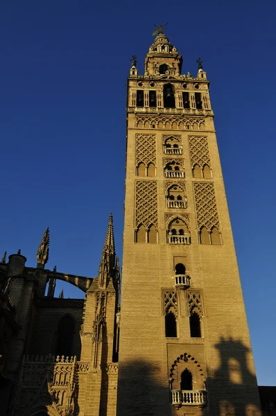 Monumento torre — Fotografia de Stock