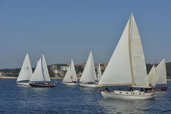 Nyári regatta — Stock Fotó