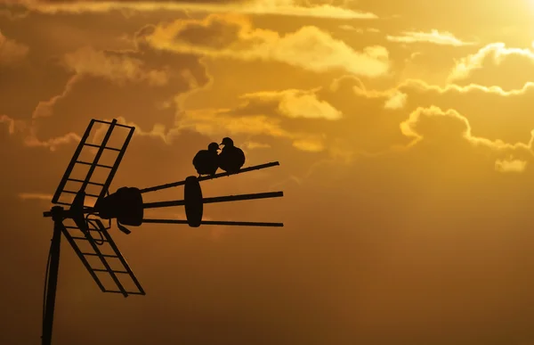 Oranje zonsondergang — Stockfoto