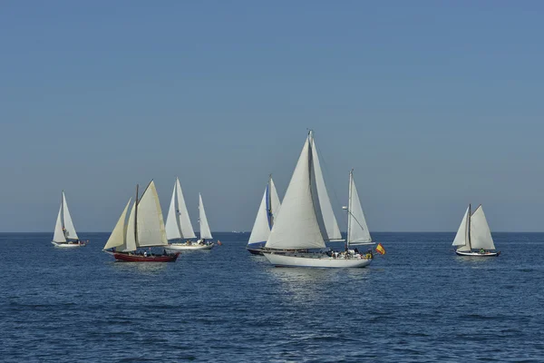 Regata estiva — Foto Stock