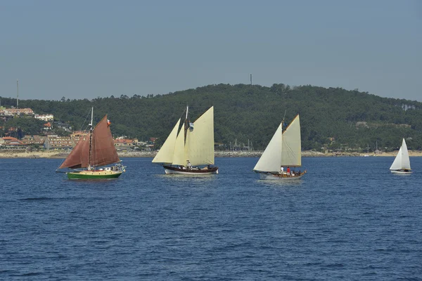 Sommaren regatta — Stockfoto