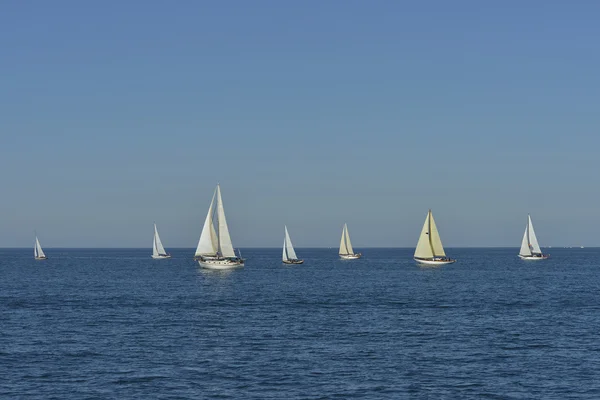 Summer regatta — Stock Photo, Image