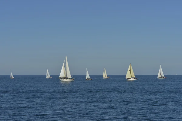 Zomer regatta — Stockfoto