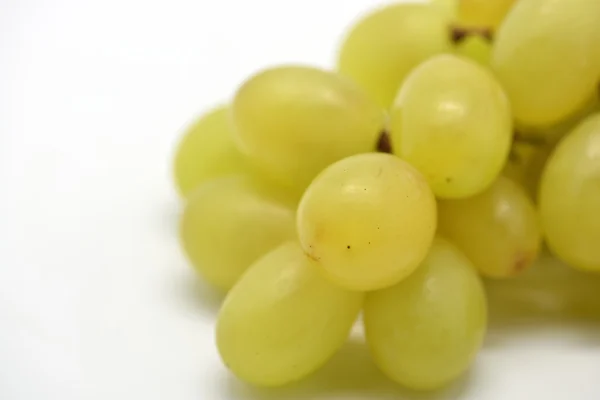 Fresh green grapes — Stock Photo, Image