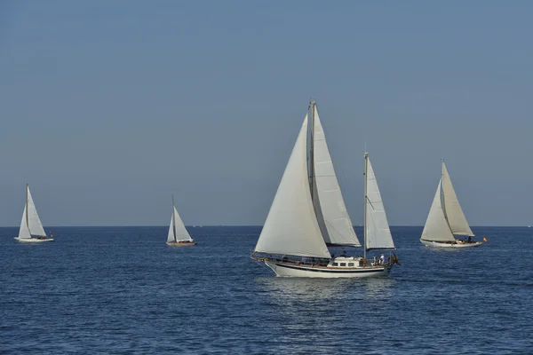 Zomer regatta — Stockfoto