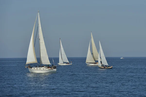 Yaz regatta — Stok fotoğraf