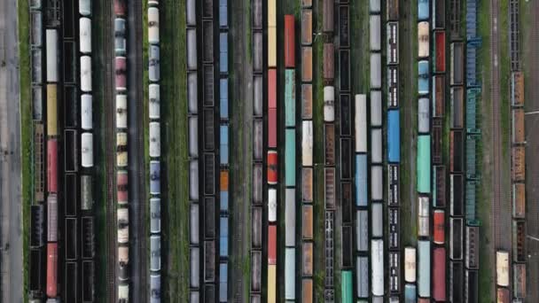 Aerial Video Various Colorful Wagons Railroad One Train Freight Wagons — Stock Video