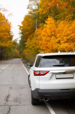 Sonbahar ormanında şık beyaz bir SUV araba. Şirketle seyahat etmek için 7 koltuklu vagon. Renkli akçaağaç yaprakları ve arka planda yol. Gezgin yaşam tarzı ve özgürlük kavramı. Dikiz aynası. Tatilde macera.
