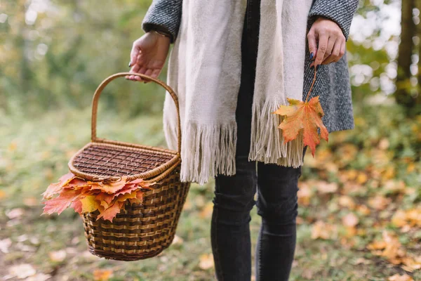 Girl Grey Coat Black Jeans Beige Scarf Hold Hand Picnic — Stock Photo, Image