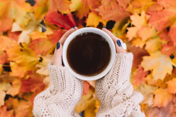 Caucasian girl in beige sweater hold in hands with blue manicure white cup with black ceylon tea. Bright yellow, orange and red maple leaves on background. Change of seasons concept. Top view.