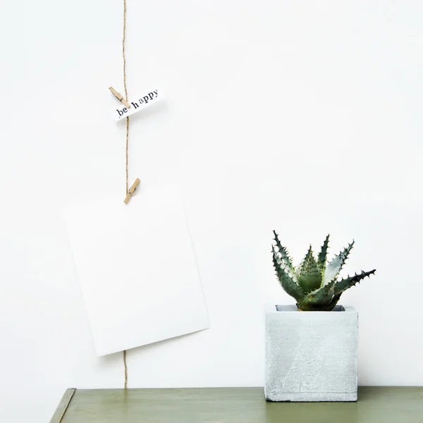 Simple garland with postcards and succulent — Stock Photo, Image