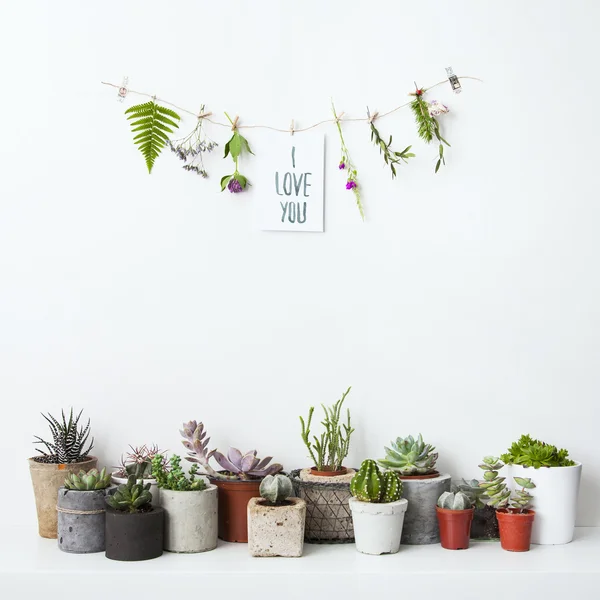 Paper with hand written sign I LOVE YOU, flowers and succulents. — Stock Photo, Image