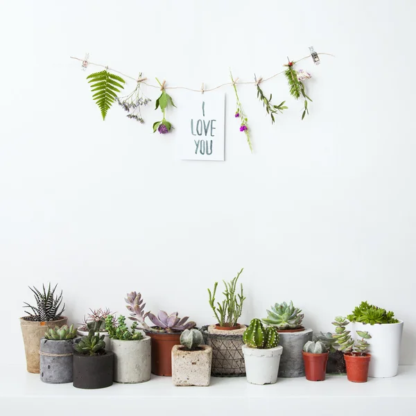 Papel com mão escrita sinal Eu te amo, flores e suculentas . — Fotografia de Stock