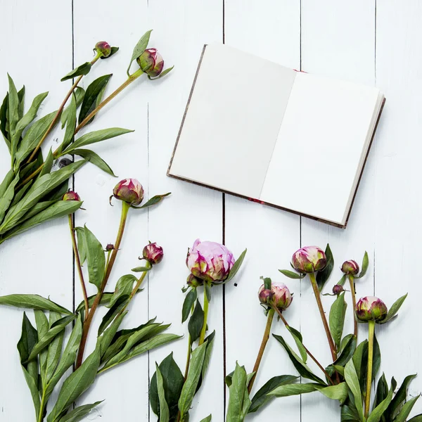 Peonías flores con cuaderno de bocetos. Prepárate. Hipster decoración interior habitación . —  Fotos de Stock