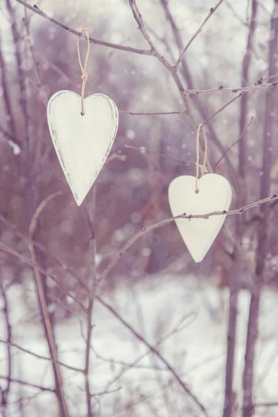 Two vintage hearts hanging on tree — Stock Photo, Image