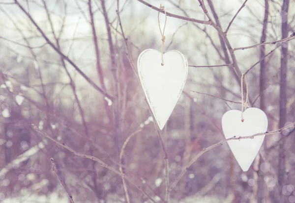 Dos corazones vintage colgando de un árbol — Foto de Stock