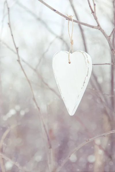 Srdce visí na stromě — Stock fotografie