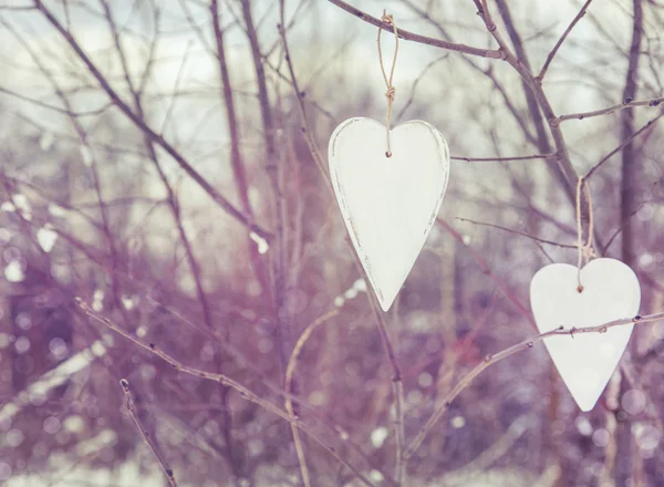 Deux coeurs vintage suspendus à l'arbre — Photo