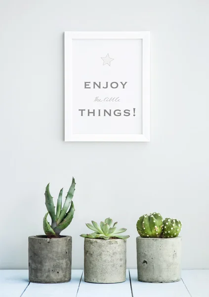 ENJOY THE LITTLE THINGS — Stock Photo, Image