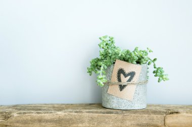 Sulu beton pot ve elle çizilmiş doodle kalpli hediye etiketi