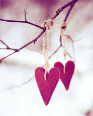 Sevgililer ağaç üzerinde asılı iki kalp şeklinde