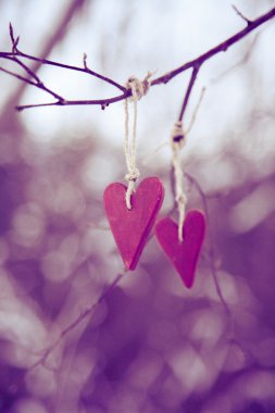 Sevgililer ağaç üzerinde asılı iki kalp şeklinde