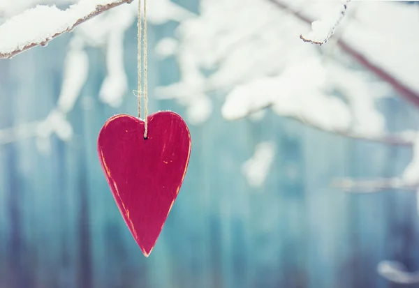 Heart shaped valentine's  hanging on the tree branch — Stock Photo, Image