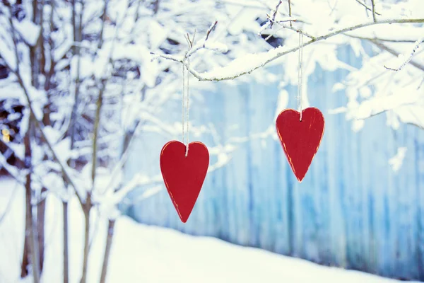 Deux valentins en forme de coeur accrochés à l'arbre — Photo