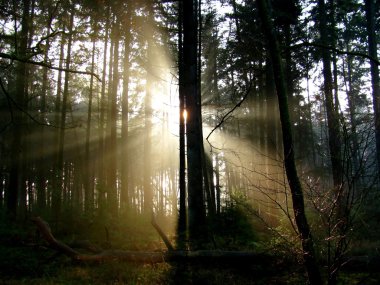 Güneş ışınları