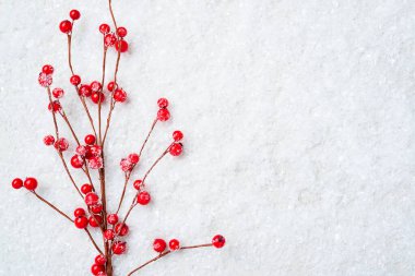 Karda donmuş kırmızı böğürtlenler. Kış ve Noel geçmişi.