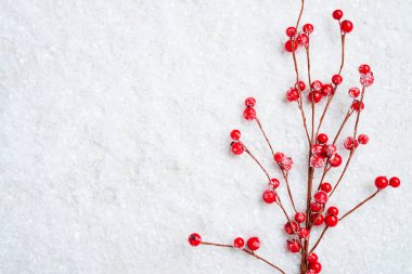 Karda donmuş kırmızı böğürtlenler. Kış ve Noel geçmişi.