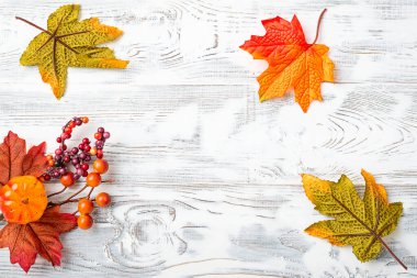 Yapay yapraklar ve dekorasyonlarla sonbahar arkaplanı. Üst Manzara. Beyaz tahta arkaplan.