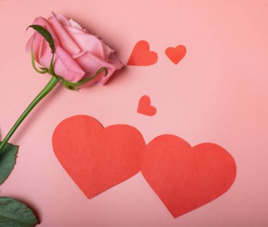 Pembe arka planda güzel bir gül ve Sevgililer Günü için tebrik kartı. Yakın plan. Yukarıdan görüntüle.