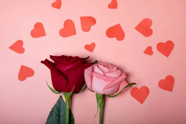 Két Gyönyörű Virágzó Rózsa Rózsaszín Finom Háttérrel Szívekkel Körülvéve Háttér Jogdíjmentes Stock Képek