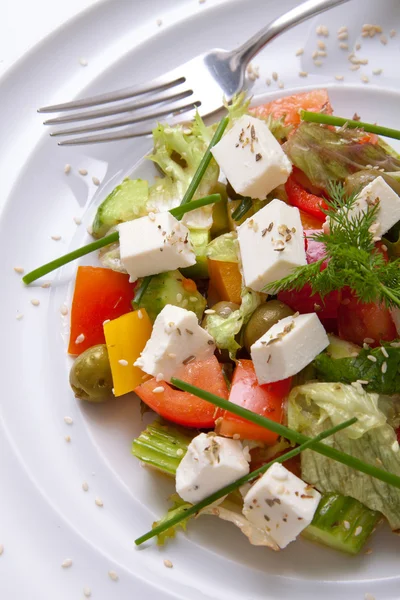 Ensalada con queso y verduras en un plato blanco — Foto de Stock