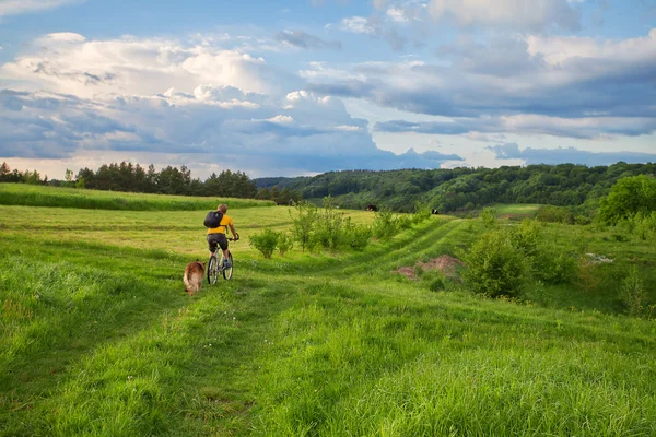 Un turista con un perro montando en bicicleta a través de un hermoso paisaje de verano —  Fotos de Stock