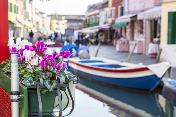 Flower pot in front of a boat — Stock Photo, Image