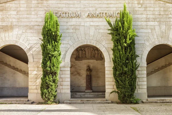 Theatrum Anatomicum Montpellier Tıp Fakültesi